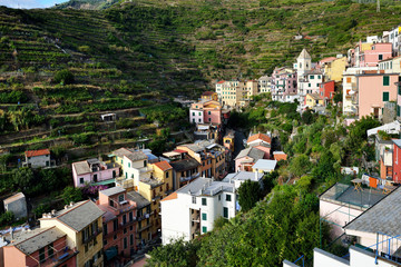 Fototapeta na wymiar Colorful houses in Manarola Village, Cinque Terre Coast of Italy. Manarola is a beautiful small town in the province of La Spezia, Liguria, north of Italy and one of the five Cinque terre attractions.