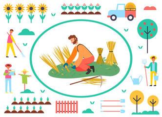 Wheat harvesting vector, agriculture and farming, farmer working on field, scarecrow and tree with ripe fruits, male with instruments on farm and plantation