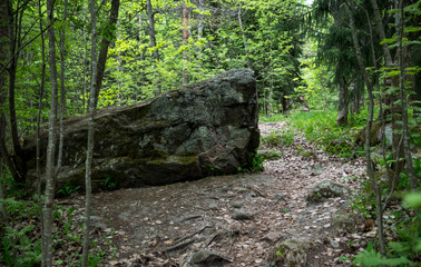 big stone on path in forest