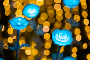 Electrical light rose flower with warm light bokeh background