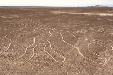 sand dunes in the desert