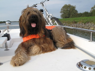 Briard, Hund, Hausboot, Boot, Rettungsweste, Bootsfahrt, Urlaub mit Hund, Hausboot mit Hund, ...
