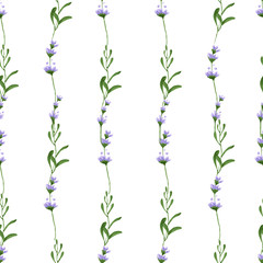 Naklejka na ściany i meble Lavender flowers pattern. Delicate flowers. Summer and spring pattern. Illustration.