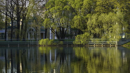 Fototapeta premium architecture