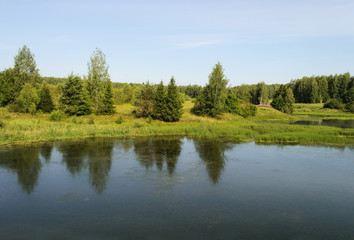 Fototapeta na wymiar Forest lake in summer time