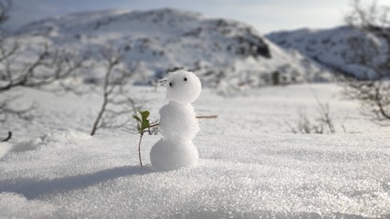 Natur in Norwegen