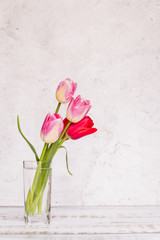 Different fresh colourful tulips in glass