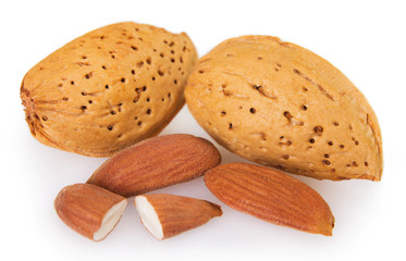 Fresh almond on white background