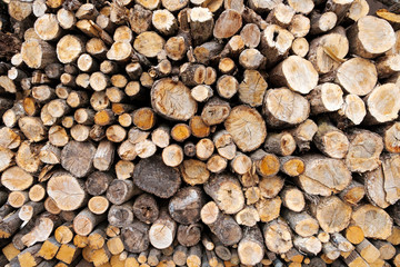 wood log cut background