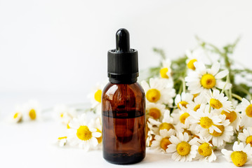 Essential aroma oil with camomile on white background.