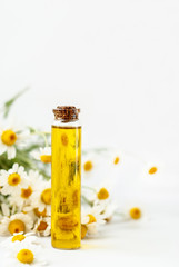 Essential aroma oil with camomile on wooden background. Selective focus.