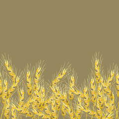 Acrylic drawn rye spikelets on beige background, seamless pattern