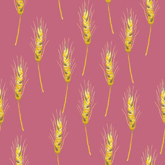 Acrylic drawn rye spikelets on pink background, seamless pattern