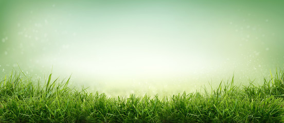 Lush spring green grass with a background of fields and pastures.
