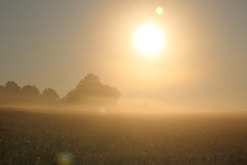 Landschaft im Schwabenland
