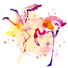 Plakat flamingo72