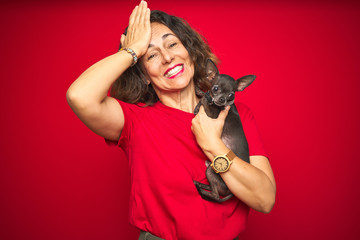 Middle age senior woman holding cute chihuahua dog over red isolated background stressed with hand on head, shocked with shame and surprise face, angry and frustrated. Fear and upset for mistake.