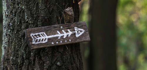 Artistic arrow sign on a forest trail