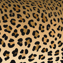 leopard pattern print, vector illustration, background