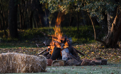 Campsite bonfire