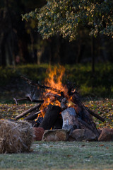 Campsite bonfire