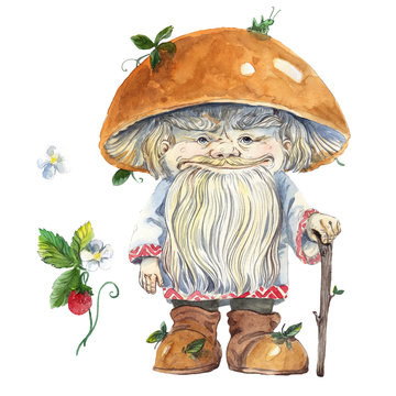 watercolor magic mushroom old man