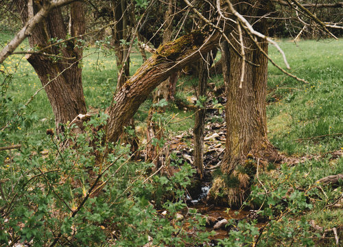 Mythical stream