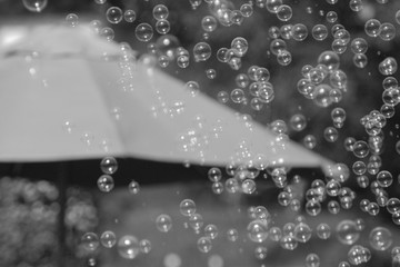 公園でシャボン玉を飛ばして遊ぶ子供