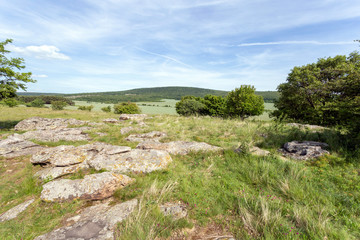 Fototapeta na wymiar Stone fields near Kovagoors