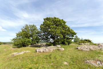 Stone fields near Kovagoors
