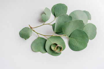 Wedding rings on eucalyptus leaves © Катя Мазурец