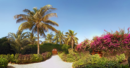 Beautiful garden with door to the beach in Sali, Mbour City, Senegal, Africa