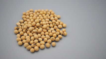 soybeans close up on gray background.