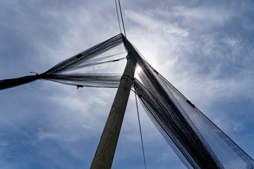 Obraz premium Hail Protection Net Against The Sun And Blue Sky With Clouds
