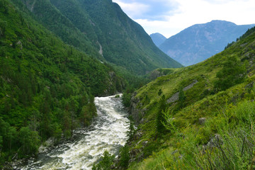 Fototapeta na wymiar Wild mountain river among green hills.