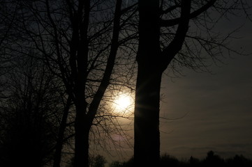 Landschaft in der Abenddämmerung