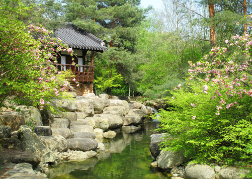 Idyllic asia style garden scene with pavilion