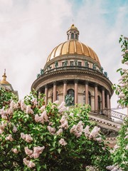 Fototapeta premium Variegated branches of lilac against the dome of St. Isaac's Cathedral in St. Petersburg