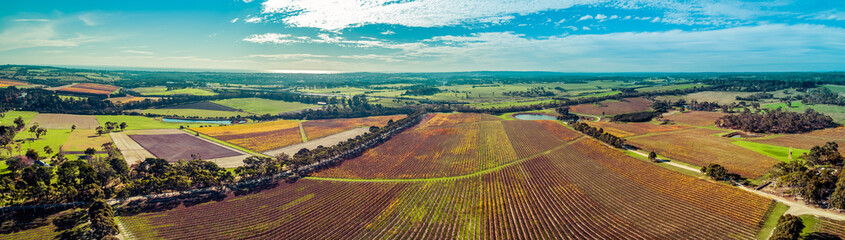 Ultra wide aerial panorama of huge vineyard and rural landscape of Mornington Peninsula, Victoria,...
