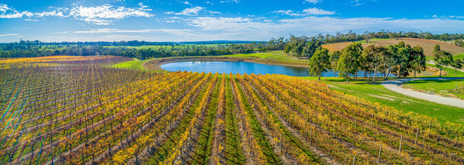 Stunning winery and pond in autumn. Mornington Peninsula, Australia