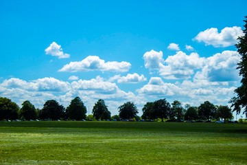 Obraz premium Blue sky and clouds in a park with green grass