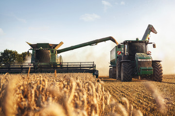 Mähdrescher und Traktor bei der Ernte auf einem Weizenfeld - obrazy, fototapety, plakaty