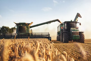 Fotobehang Maaidorser en tractor oogsten in een tarweveld © photoschmidt