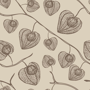 Physalis seamless pattern in vintage style