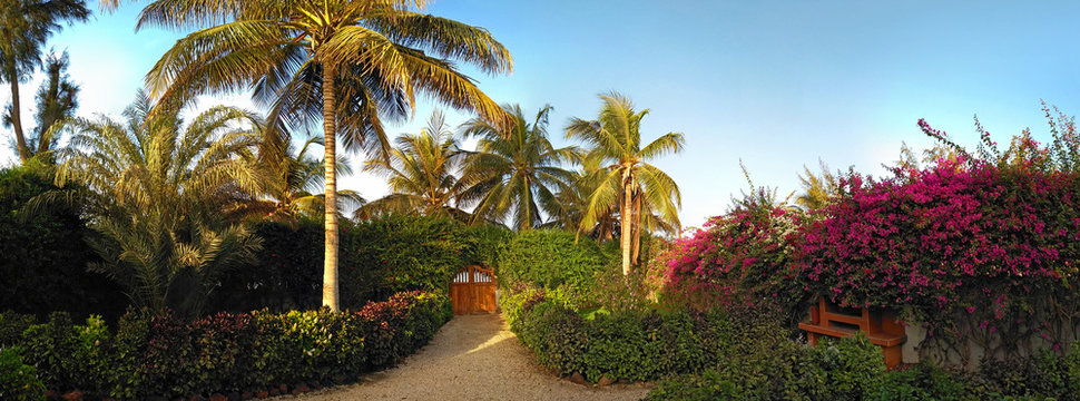 Beautiful garden with door to the beach in Sali, Mbour City, Senegal, Africa