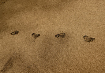 砂浜のまっすぐな足跡