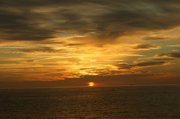 SONY DSC