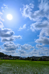 日本の田園風景