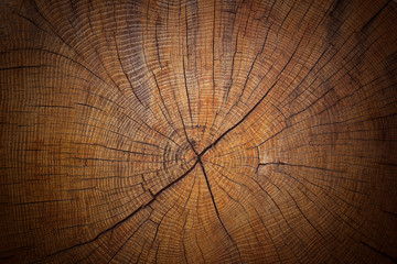 Old weathered cracked tree trunk cross section wood background texture.