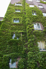 Beautiful architecture of Szeged city in Hungary